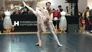 Birmingham Royal Ballet  Absolute Brilliance [upl. by Lati496]