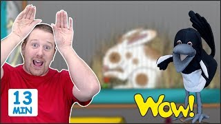 Animal Story for Kids  MORE Stories for Children from Steve and Maggie  Learn Wow English TV [upl. by Ikkir]