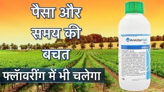 ॲमिस्टार ॲाप्टी  Amistar opti  Azoxystrobin  chlorothalonil [upl. by Otrebogad978]