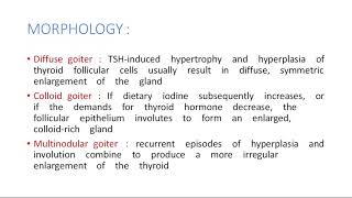 A Class On Thyroid colloid goitre By Dr HarshiniDepartment Of Pathology [upl. by Catherin]