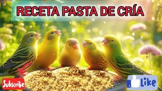 Pasta de cría para canarios [upl. by Sophy]