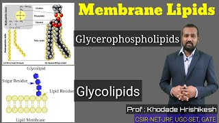 Lecture10 P2  Membrane Lipids  Cerebroside  Sphingolipids  Phosphatide  Ganglioside  Myelin [upl. by Ahouh]