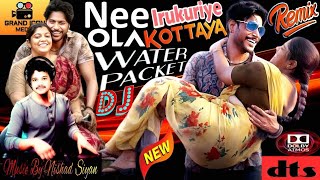 Viral Song 2024  Nee Irukuriye Ola Kottaya Dj Remix  Raayan Movie Song  Bassboosted [upl. by Robbins69]