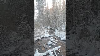 Snowy River in Winter mountainscenes nature hiking riversounds [upl. by Maure]