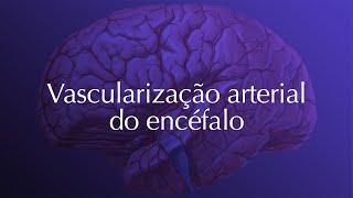 Neuroanatomia  Vascularização Arterial do Sistema Nervoso Central [upl. by Baird]