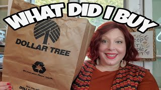 DOLLAR TREE HAUL WHAT DID I BUY TO SAVE MYSELF MONEY FOR THE HOLIDAYS [upl. by Hamner]