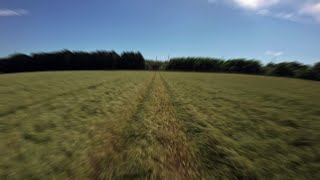 Low FPV flight over a wheat field 🌾 [upl. by Ahselrac]