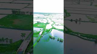 আমাদের গ্রাম Drone View sorts viralshort youtubeshorts dronview [upl. by Neeliak]