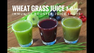 Wheatgrass Juice ShotsImmunity Booster Wheatgrass Juice स्वास्थदायक गेहू के जवारे का रस [upl. by Laud]