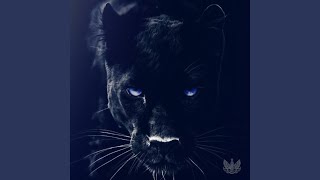 Black Panther [upl. by Cristi]