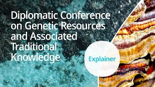 Explained WIPO Diplomatic Conference on Genetic Resources and Associated Traditional Knowledge [upl. by Anoiuq]