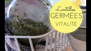 Germer les lentilles Comment faire germer les lentilles [upl. by Htabmas]