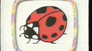 Ladybird Video 1988 VHS UK Logo [upl. by Sirtimid]