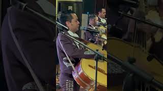 Mariachi Imperial Azteca  Puente Viejo Colosio [upl. by Doty]