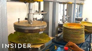 How Leaves Are Made Into Biodegradable Plates [upl. by Mcdowell]