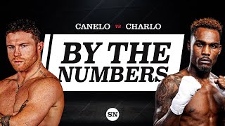 UNDISPUTED Canelo vs UNDISPUTED Charlo Fight For GREATNESS  BY THE NUMBERS [upl. by Aisatan]