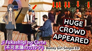 I played Bunny Girl Senpai ED Fukashigi no Carte on piano in public [upl. by Marcile]