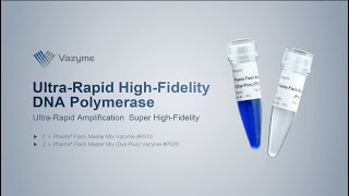 Vazyme Ultra Fast High Fidelity DNA Polymerase [upl. by Buckingham]