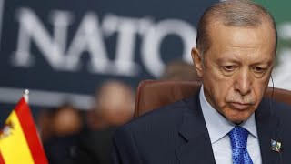 Turkey’s parliament approves Sweden’s NATO membership [upl. by Hairom]