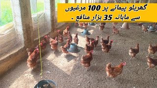 100 Lohman Brown Hens Complete Profit Report  Small Scale Hen Farming Business Idea  Layer Chicken [upl. by Teddi611]