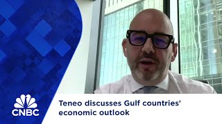 Teneo discusses Gulf countries economic outlook [upl. by Dickey]