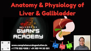 Anatomy amp Physiology of Liver and Gallbladder nursingexam nursingtest medicalsurgicalnursing [upl. by Aihtela]