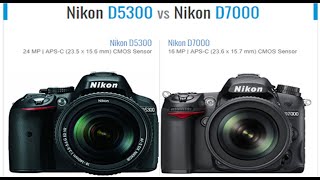 Nikon D5300 vs Nikon D7000 Comparison [upl. by Philbrook424]