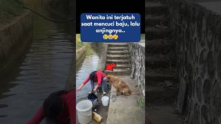 Tindakan Tak Terduga Anjing Setia [upl. by Mogerly]