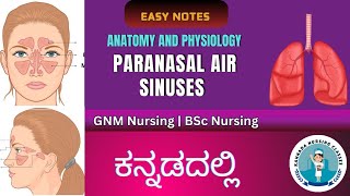 Paranasal Sinuses In Kannada  Anatomy And Physiology In Kannada  Respiratory system [upl. by Craw]