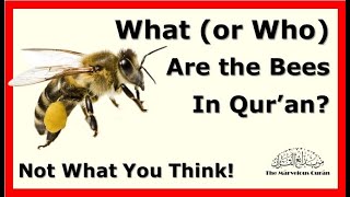 YT136 What or Who Are The Bees Surah 16 from the Quran New Methodology instructions and Secrets [upl. by Nnyluqcaj136]