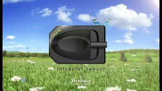 Intraoral Sensor IOX [upl. by Isadore]