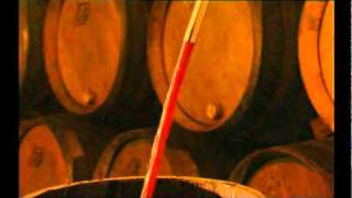 Trasiega artesanal de vino en nuestras bodegas [upl. by Boylston]