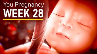 28 Weeks Pregnant Pregnancy week 28 fetal development [upl. by Anelahs917]