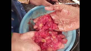 TOMATO SEED ACID EXTRACTION  DrSKavitha TNAU  Coimbatore [upl. by Sloan643]