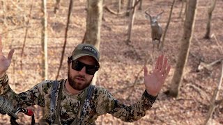 BUCKS EVERYWHERE in OHIO Bowhunting the RUT [upl. by Ardnasirhc164]