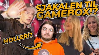 SJAKALEN TIL GAMEBOX DANMARKS STØRSTE GAMING EVENT [upl. by Wilhelmina]