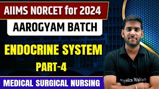 Introduction of Endocrine System  Part 4  Medical Surgical Nursing  AIIMS NORCET 6 2024  DSSSB [upl. by Malena]