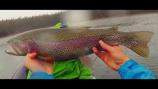 Fishing for Monster Rainbow Trout in the Flathead Valley  Montana  2017 [upl. by Yhtimit]