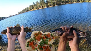 Trout CATCH n COOK Lake Tabeaud CA brook n Rainbow Trout Tacos [upl. by Yenar]