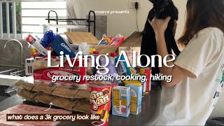 Living Alone in the Philippines What does a 3k grocery look like ref restock cooking hiking 🏔️ [upl. by Janet]