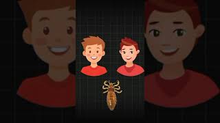 This is how fast how lice can jump from head to head shorts youtubeshorts hair lice didyouknow [upl. by Hseyaj695]