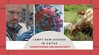 Understanding and Managing Lumpy Skin Disease in Cattle Symptoms Causes Prevention and Treatment [upl. by Nolyag]