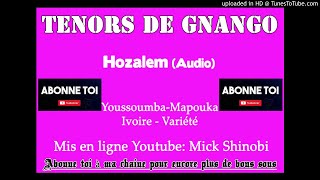 Tenors de Gnango  Hozalem Audio [upl. by Corin]