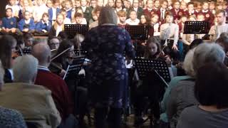 Ashby Liaison Concert 2018  Ashby Orchestra  Blue Tango [upl. by Yadnus]