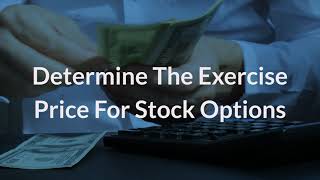 Determine the Exercise Price for Stock Options  Eqvista [upl. by Ubald707]