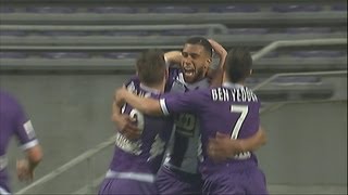 Goal Etienne CAPOUE 19  Toulouse FC  OGC Nice 34  201213 [upl. by Notgnillew]