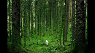 Kiruna the north of Sweden [upl. by Dilly734]