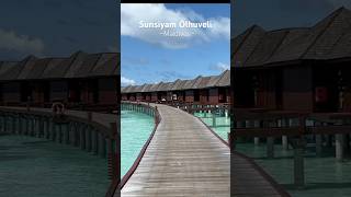 Sunsiyam Olhuveli maldives maldivesresorts maldivesislands sunsiyamolhuveli travelvlog travel [upl. by Hinkle]