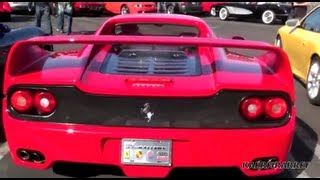 Ferrari F50 Accelerate Rare WOW [upl. by Yknarf500]