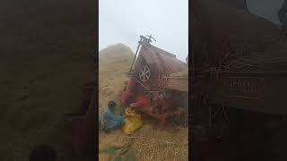 Countinue work of Rice Thareshar Sindh Pakistan weather is not good [upl. by Annocahs]